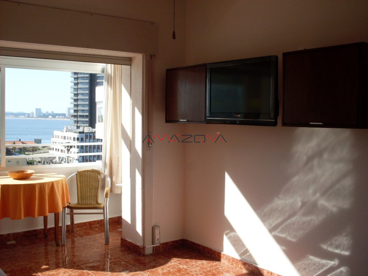 Apartamento ID.4946 - Alquiler Peninsula monoambiente vista al mar aire acondicionado mucama 