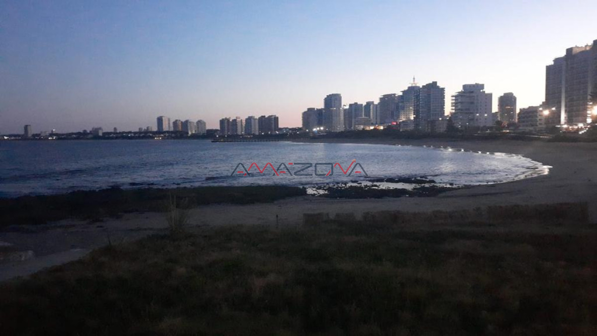 Apartamento ID.5543 - ALQUILO TORREON, vista a la brava,4 dormitorios,3 baños+Toilette;Mucama diaria;Servicio de playa;Garaje-Punta del Este-Mansa-Brava