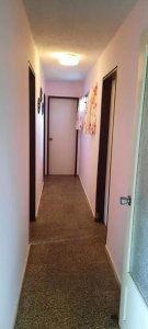Apartamento céntrico, 3 dormitorios, primer piso.- - PLD675A