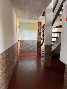 Apartamento 3 dormitorios Céntrico en venta en San Carlos - PLD811A