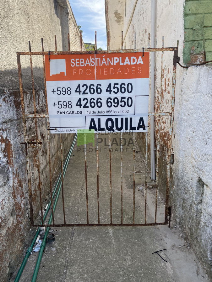 Apartamento ID.1015 - Apartamento de 1 Dormitorio en Alquiler en San Carlos