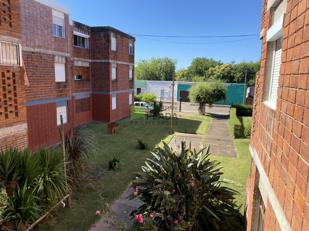 Apartamento ID.1045 - Apartamento Céntrico de 3 Dormitorios en alquiler en San Carlos