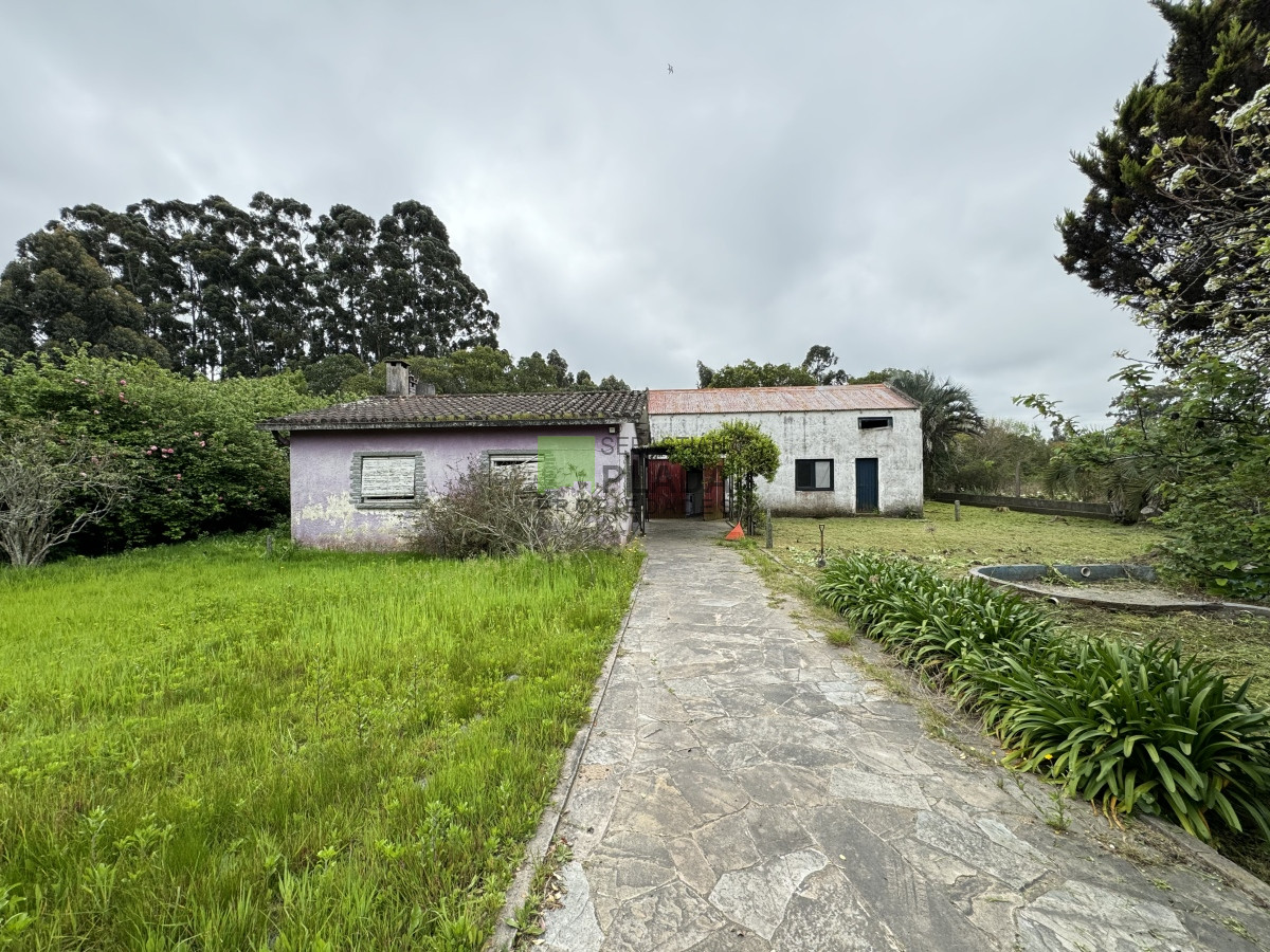casa y galpón con buen terreno - pld927c