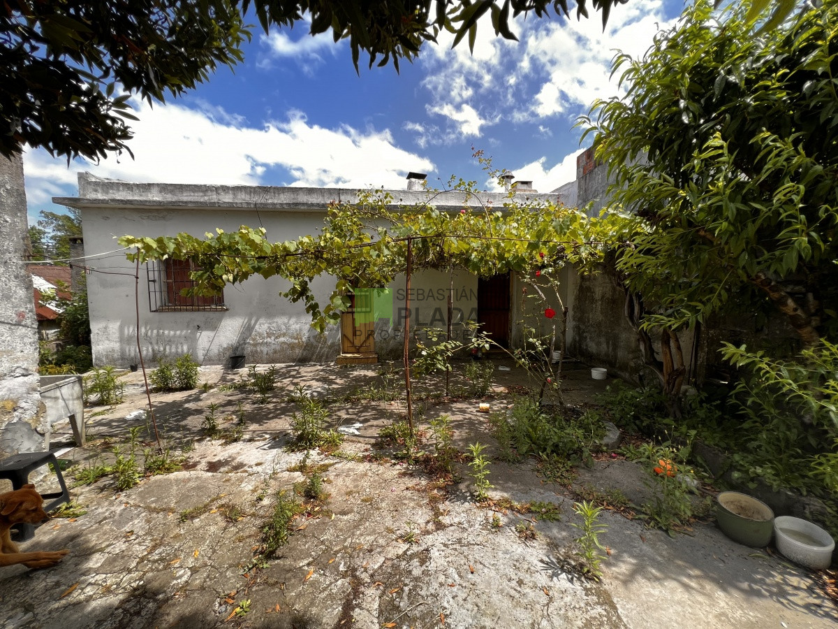 Casa ID.564 - Casa de 2 Dormitorios y Patio en Venta en San Carlos