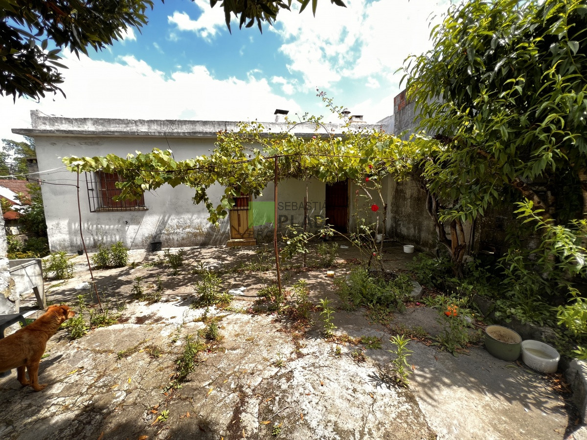 Casa ID.564 - Casa de 2 Dormitorios y Patio en Venta en San Carlos