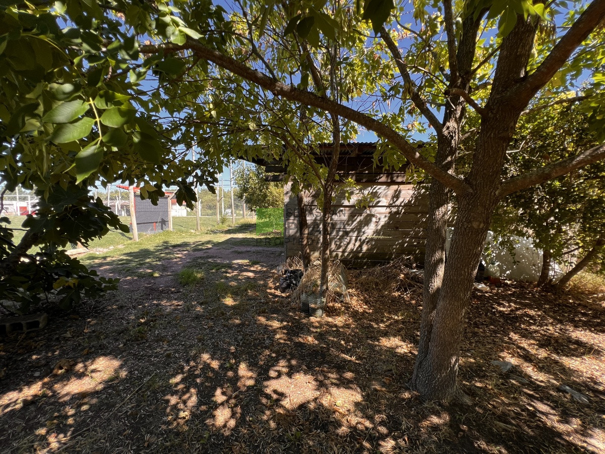 Casa ID.778 - Casa de 2 Dormitorios, cochera y patio