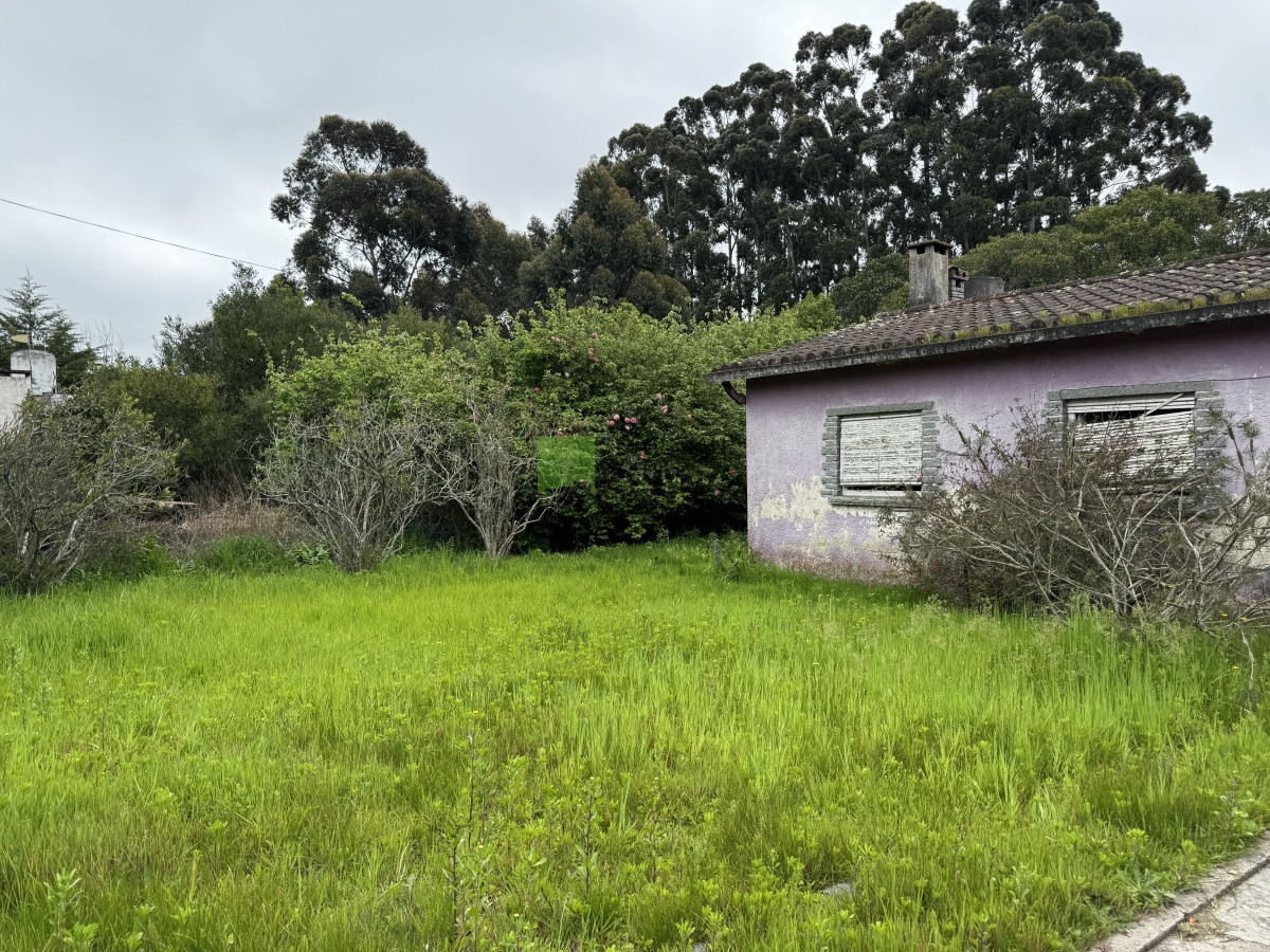 Casa ID.927 - Casa y Galpón con buen terreno