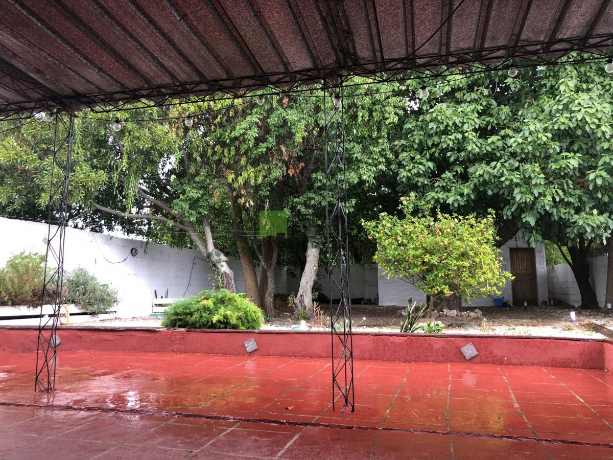 Casa ID.210 - Casa sobre avenida, 2 dormitorios, cochera tres vehículos, amplia, patio arbolado con depósito y parrillero