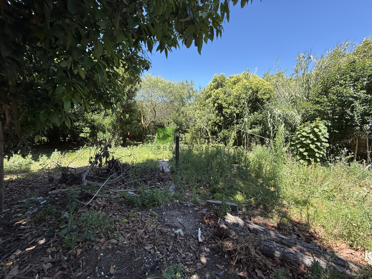 Casa ID.1032 - Casa 2 dormitorios, céntrica, amplio terreno