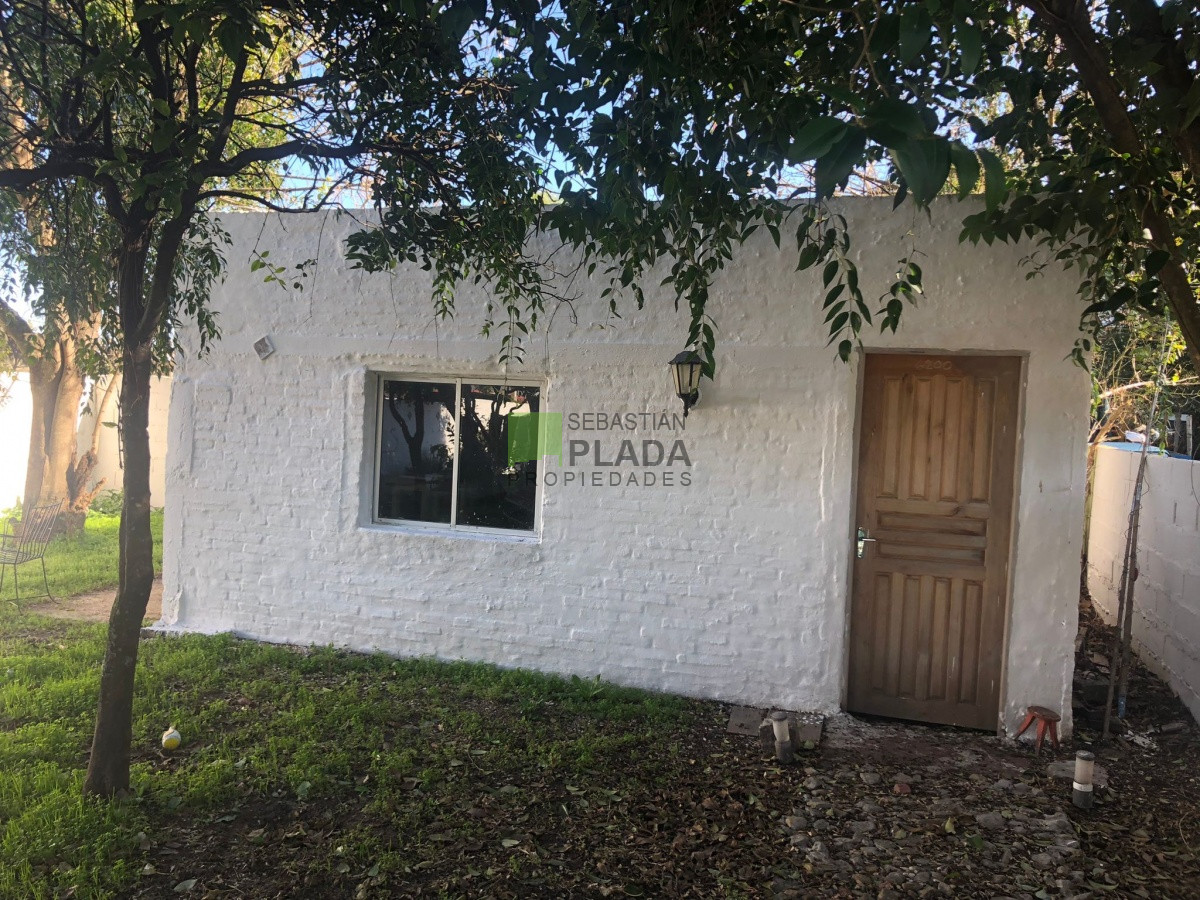 Casa ID.210 - Casa sobre avenida, 2 dormitorios, cochera tres vehículos, amplia, patio arbolado con depósito y parrillero