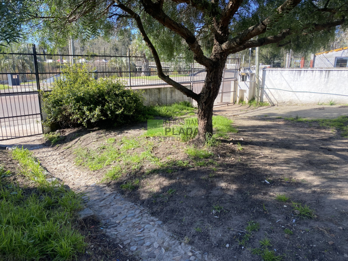Casa ID.1099 - Casa de 1 dormitorio y entrada para auto en Alquiler en San Carlos