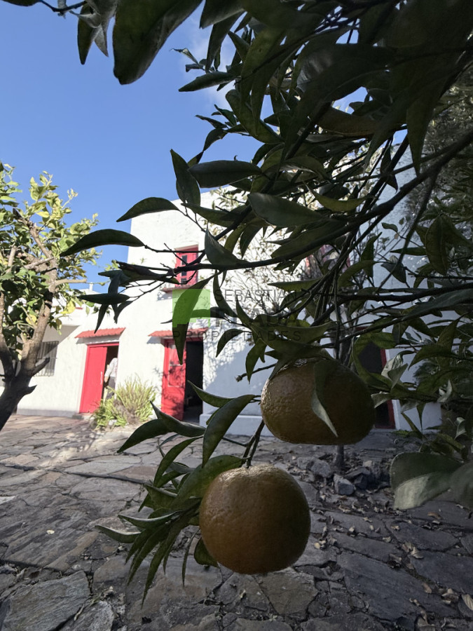 Casa ID.1089 - Casona de 1900 en el Centro de San Carlos