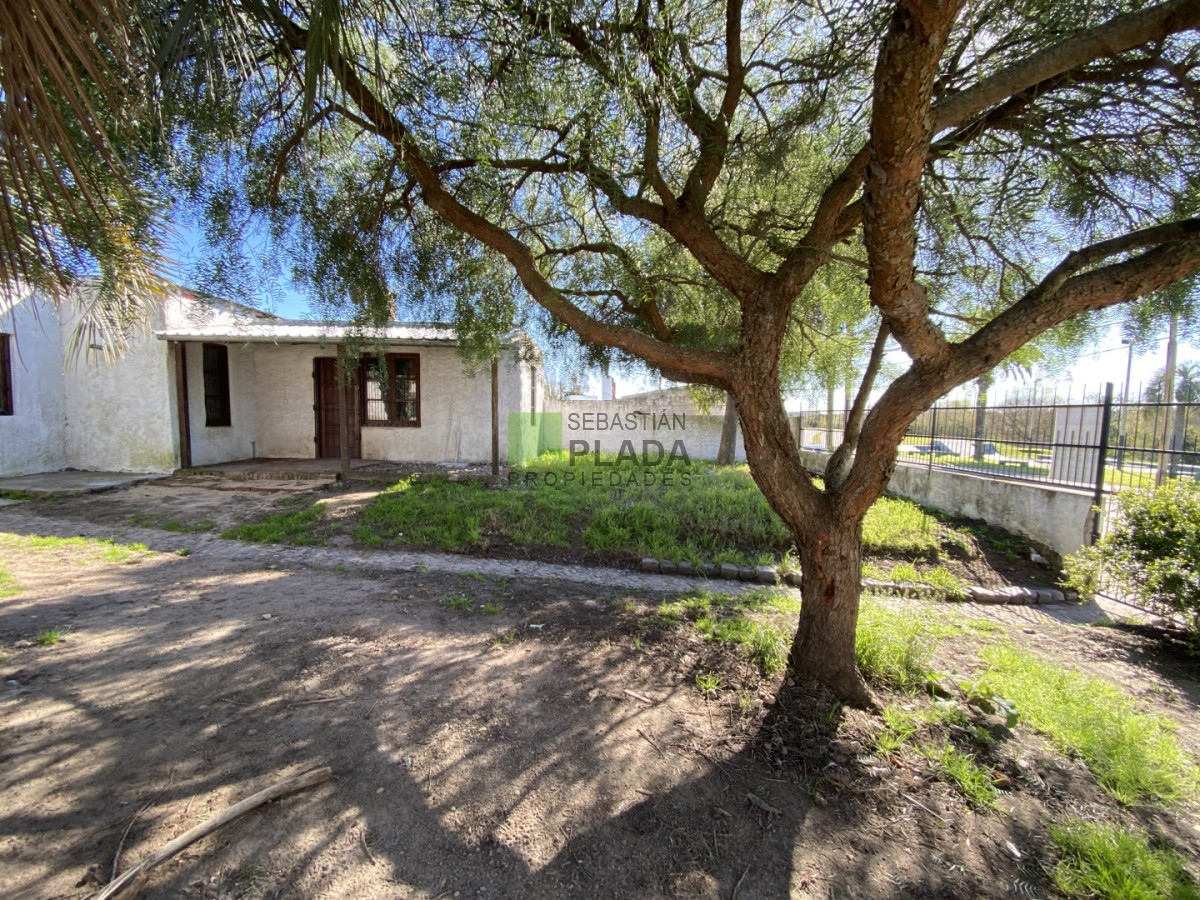 Casa ID.1099 - Casa de 1 dormitorio y entrada para auto en Alquiler en San Carlos