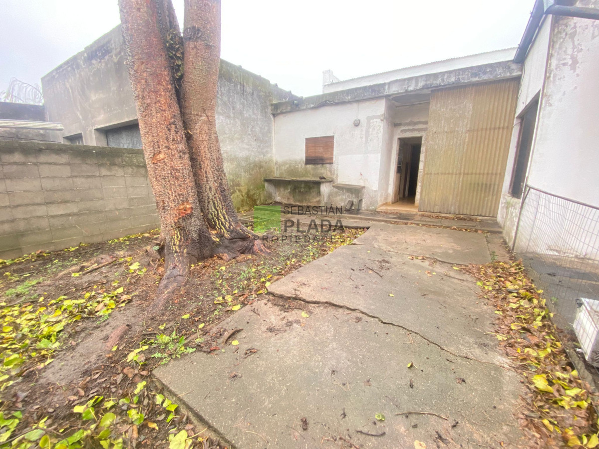 Casa ID.998 - Casa céntrica de 1 Dormitorio en Alquiler en San Carlos