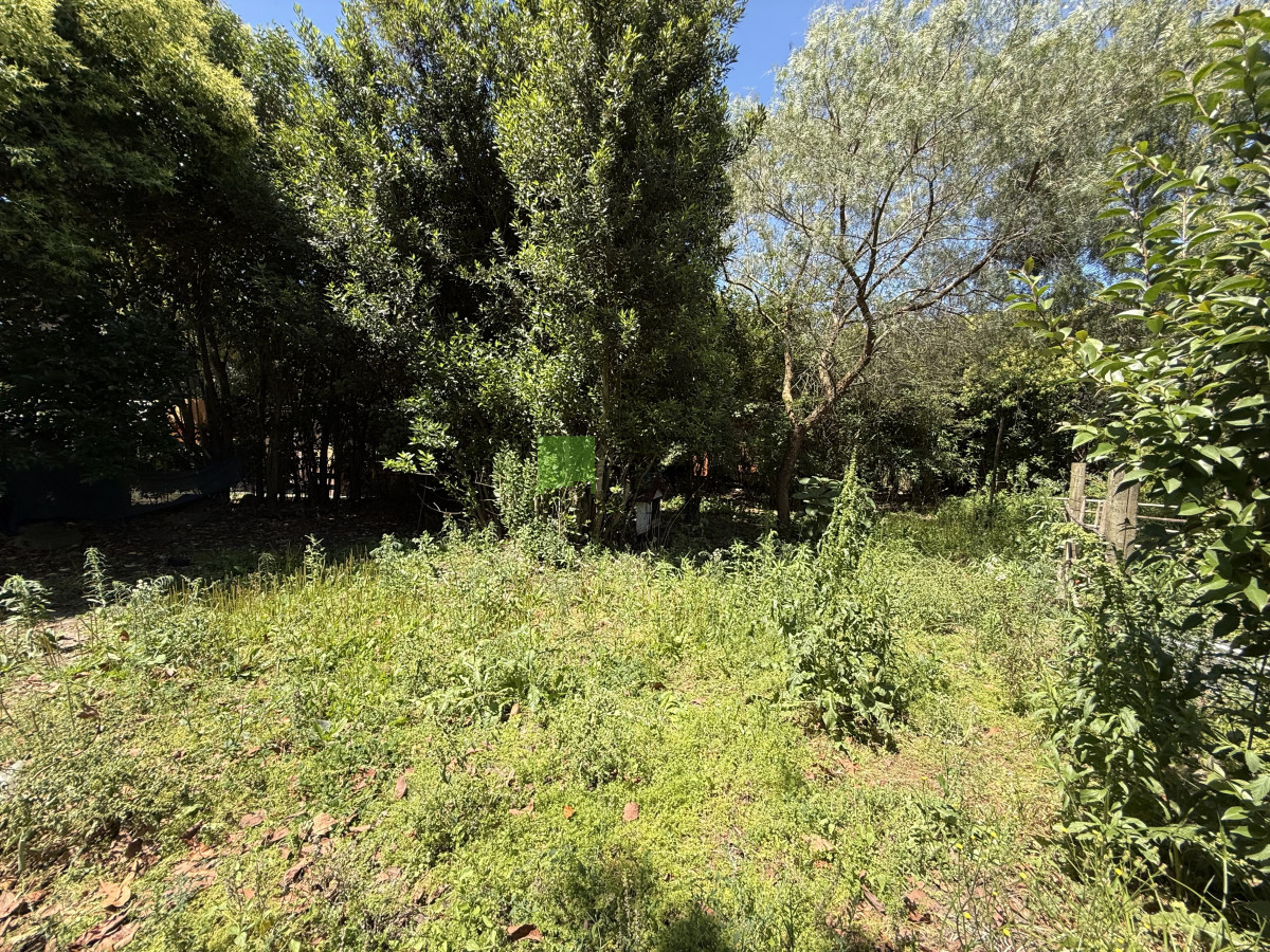 Casa ID.1032 - Casa 2 dormitorios, céntrica, amplio terreno