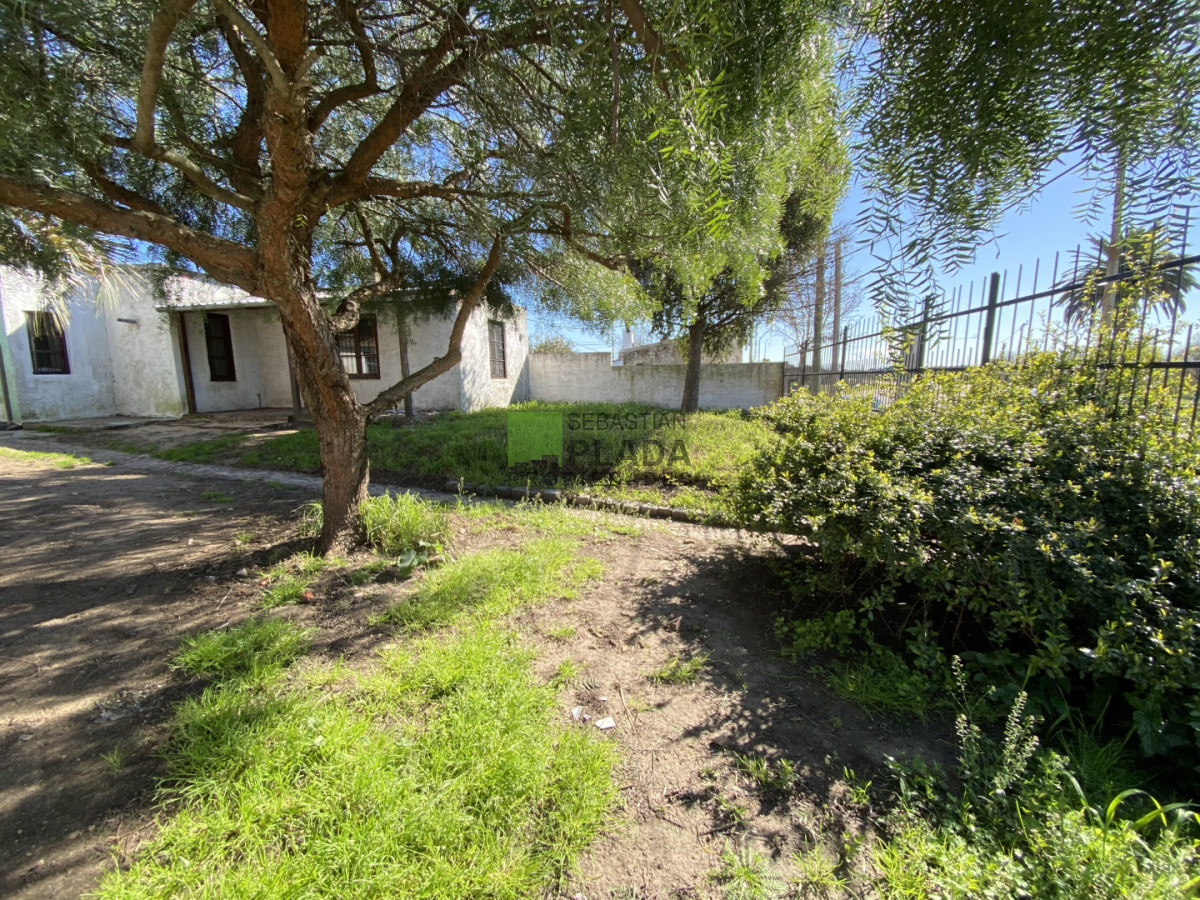 Casa ID.1099 - Casa de 1 dormitorio y entrada para auto en Alquiler en San Carlos