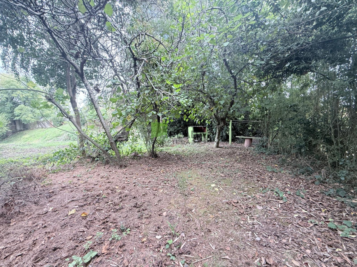 Galpón ID.981 - Galpón con Terreno de 838 frente al Liceo 2