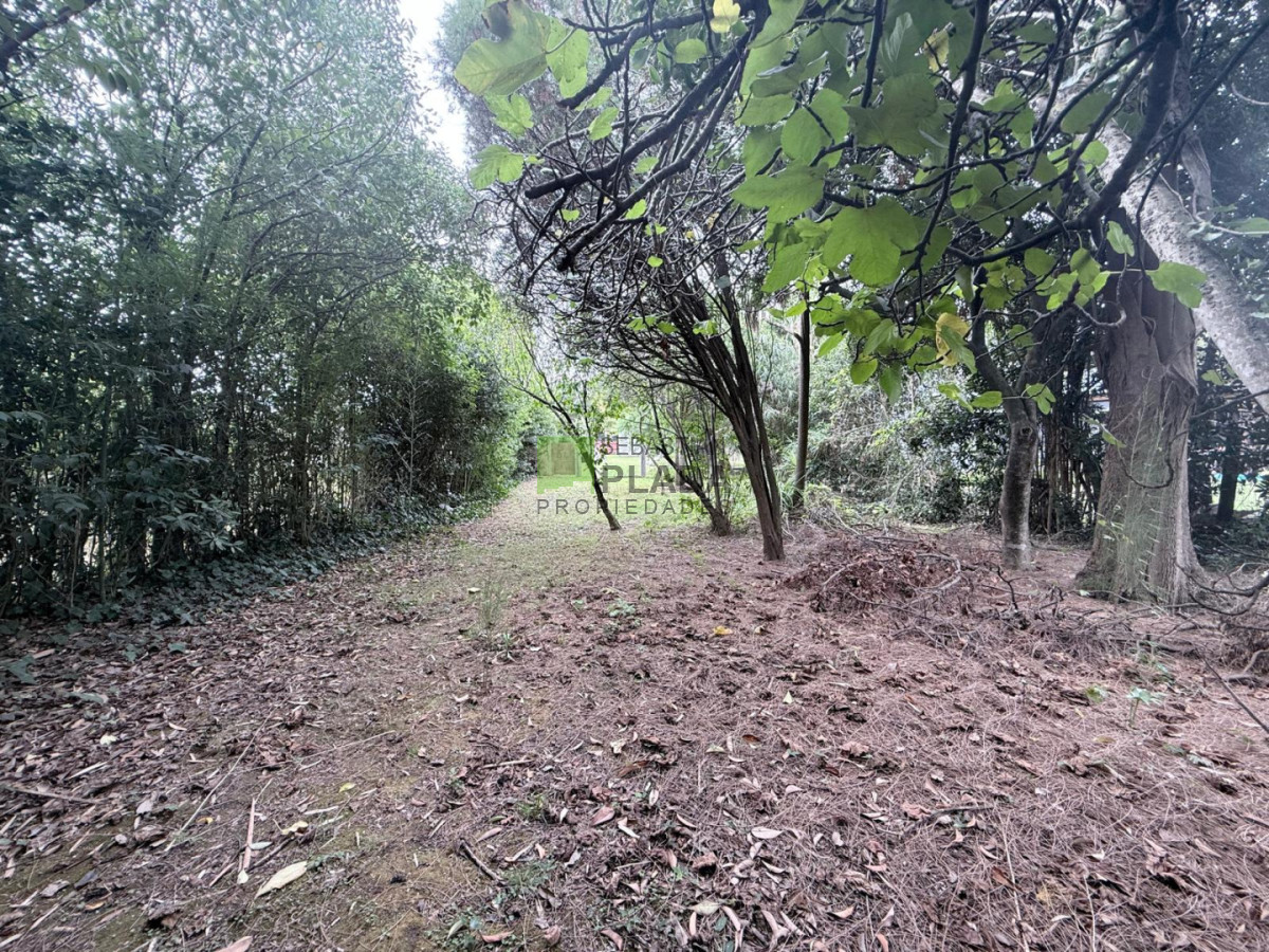 Galpón ID.981 - Galpón con Terreno de 838 frente al Liceo 2