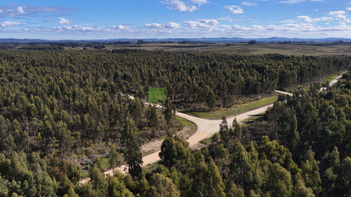 Chacra ID.1053 - Aires de Manantiales