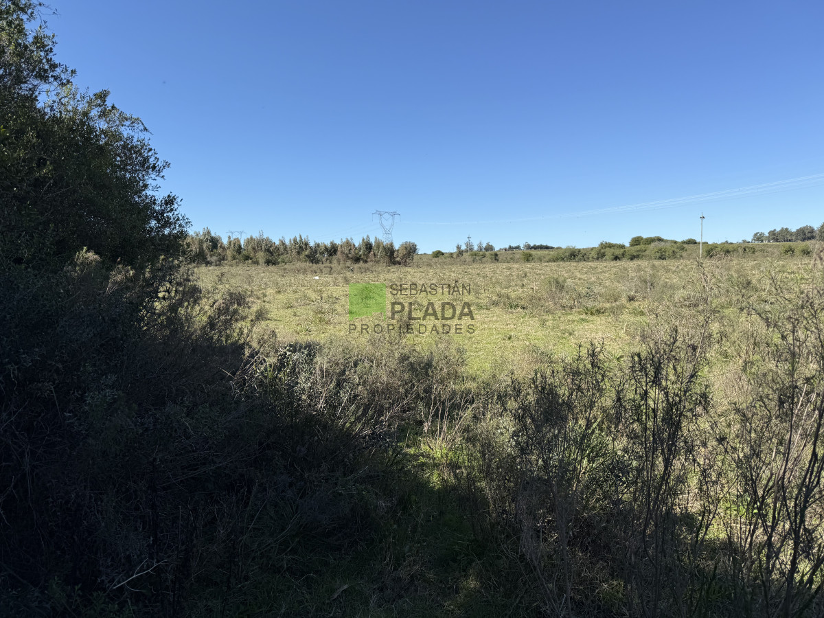 Chacra ID.1018 - Chacra de 14 Hás y media