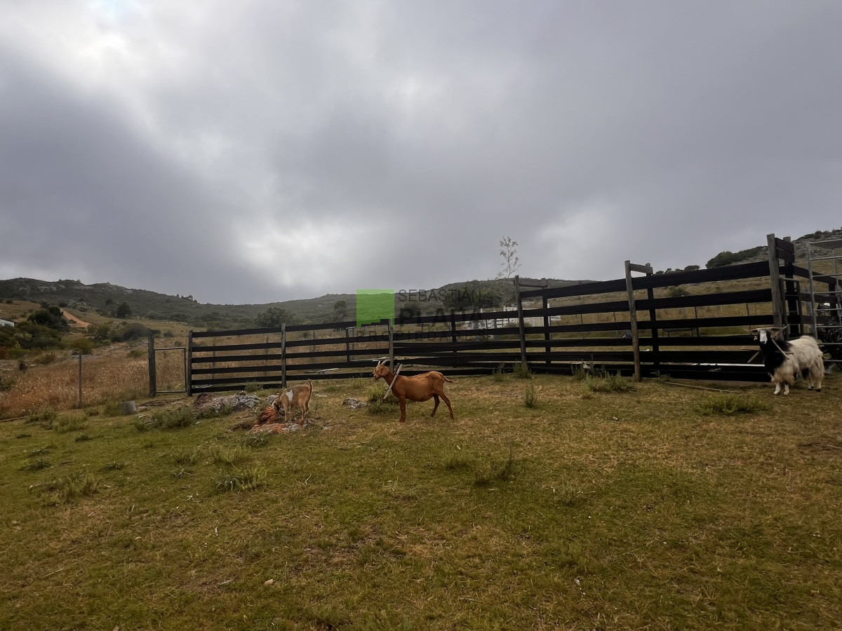 Chacra ID.822 - Venta de Chacra de Sierra 