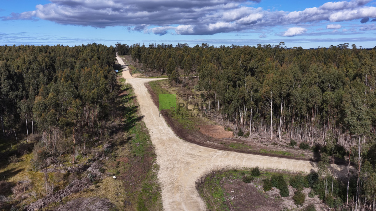 Chacra ID.1053 - Aires de Manantiales