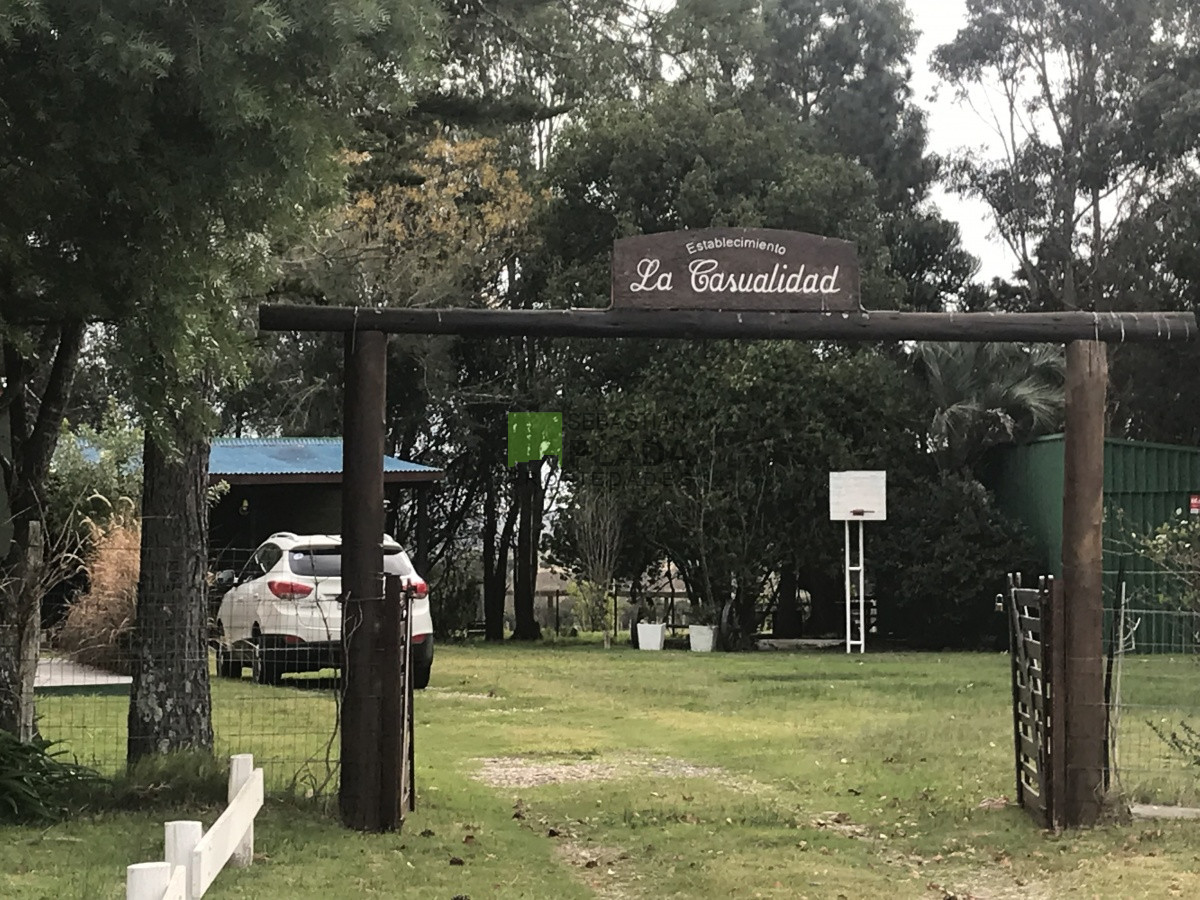 Chacra ID.176 - Chacra a 15 minutos de Punta del Este. 3 dormitorios, casita de huespedes, capacidad 10 personas
