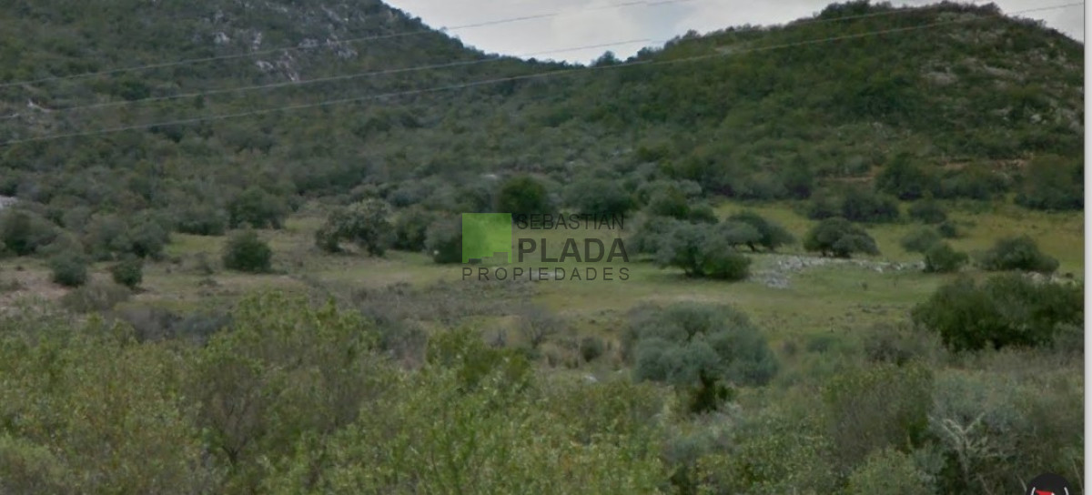 Chacra ID.983 - Chacra Sobre Ruta con arroyo