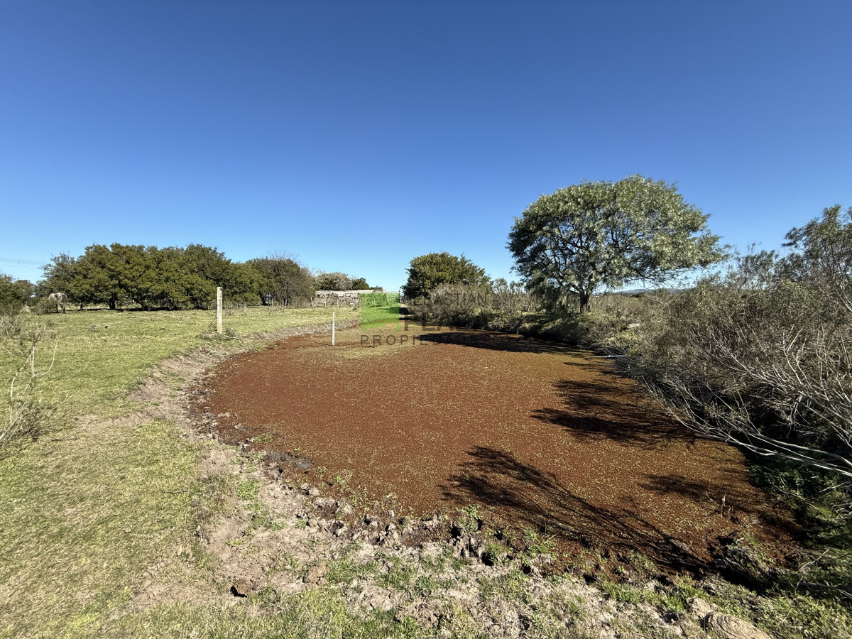 Chacra ID.1018 - Chacra de 14 Hás y media