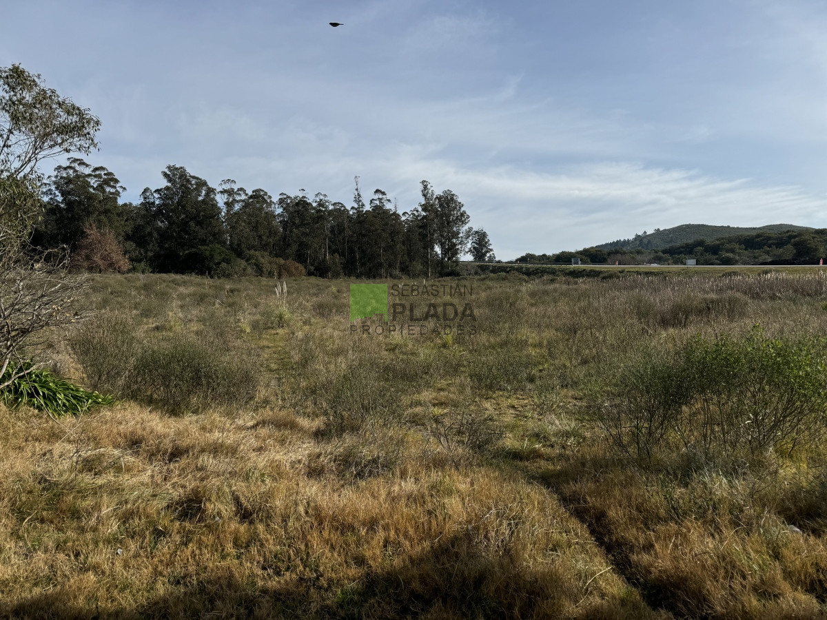 Chacra ID.908 - Chacra Sub urbana Sobre Ruta 9