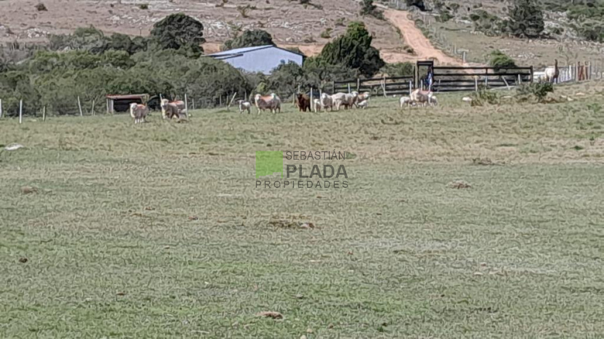 Chacra ID.822 - Venta de Chacra de Sierra 
