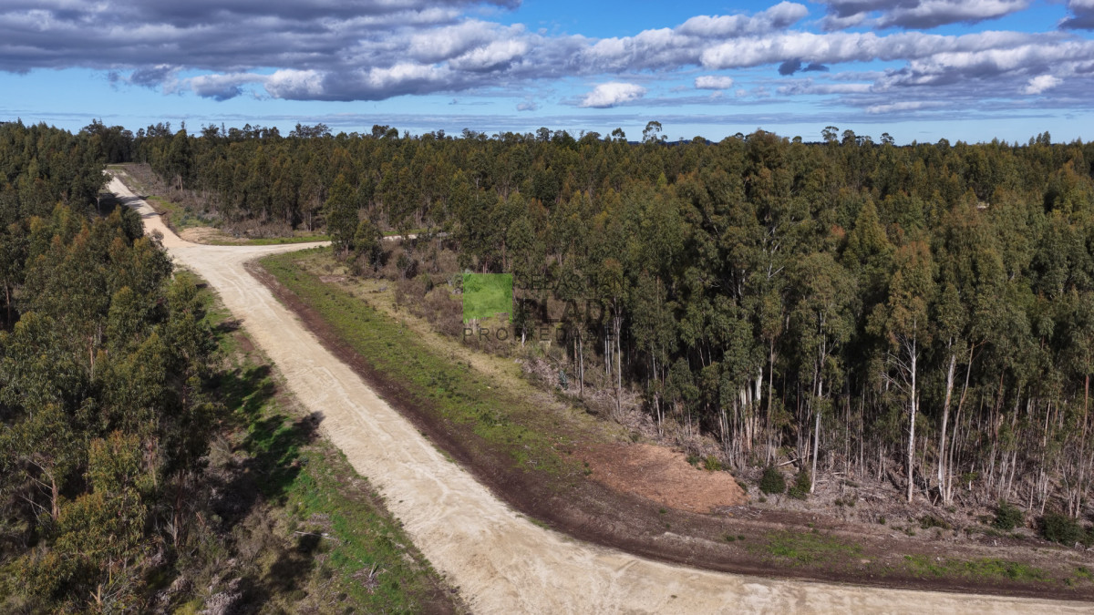 Chacra ID.1053 - Aires de Manantiales