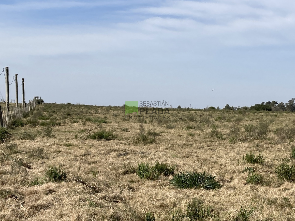 Chacra ID.774 - Chacra de 5 Hectáreas sobre Ruta 9