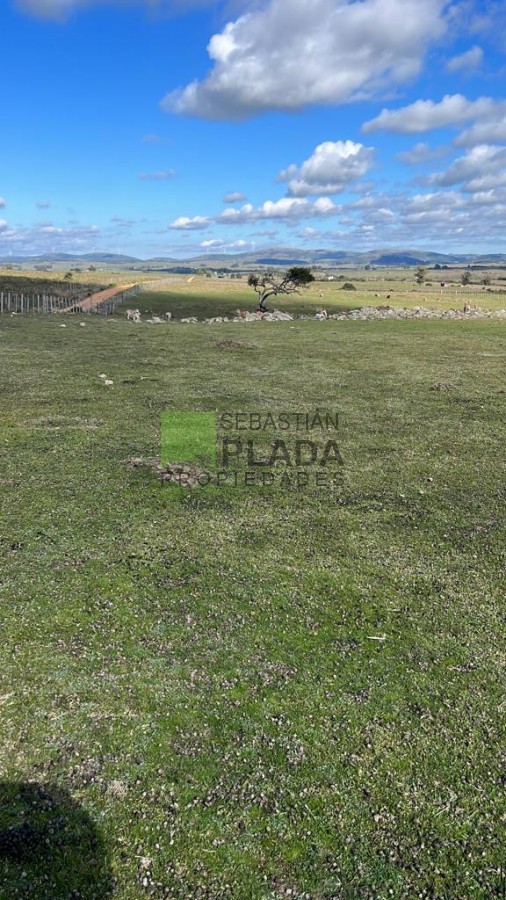 Chacra ID.822 - Venta de Chacra de Sierra 