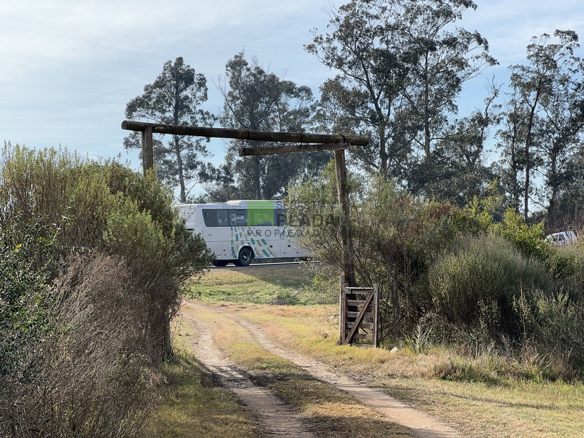 Chacra ID.908 - Chacra Sub urbana Sobre Ruta 9