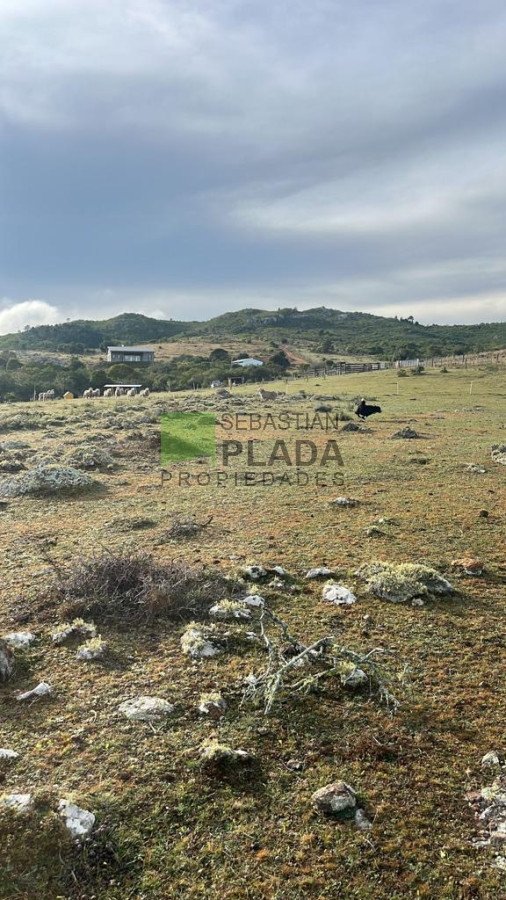 Chacra ID.822 - Venta de Chacra de Sierra 