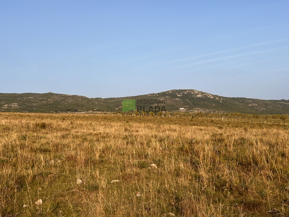 Chacra ID.740 - Chacra en Paso Dutra, a 20 km de San Carlos
