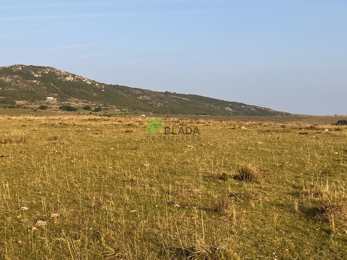 Chacra ID.740 - Chacra en Paso Dutra, a 20 km de San Carlos