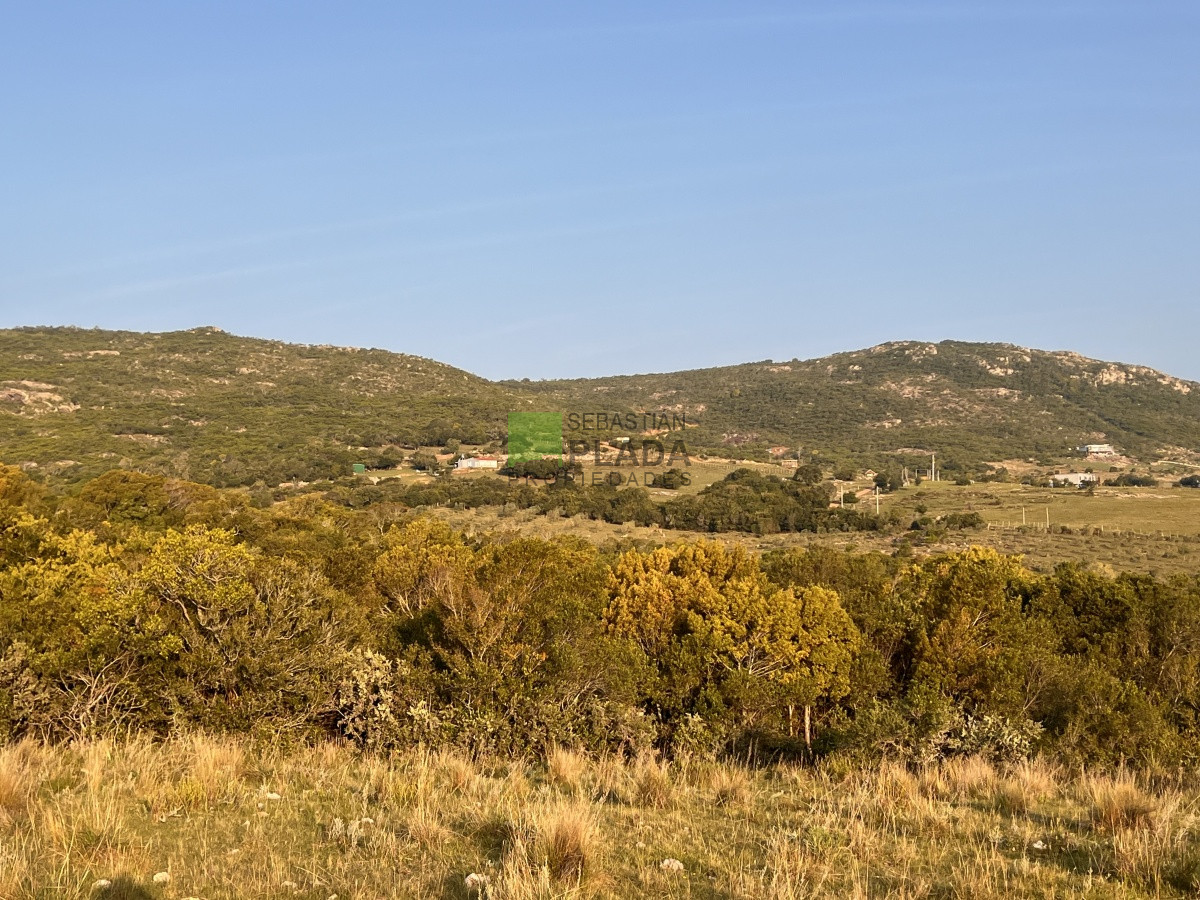 Chacra ID.740 - Chacra en Paso Dutra, a 20 km de San Carlos