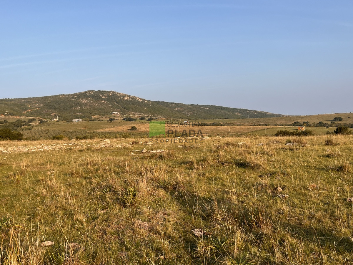 Chacra ID.740 - Chacra en Paso Dutra, a 20 km de San Carlos