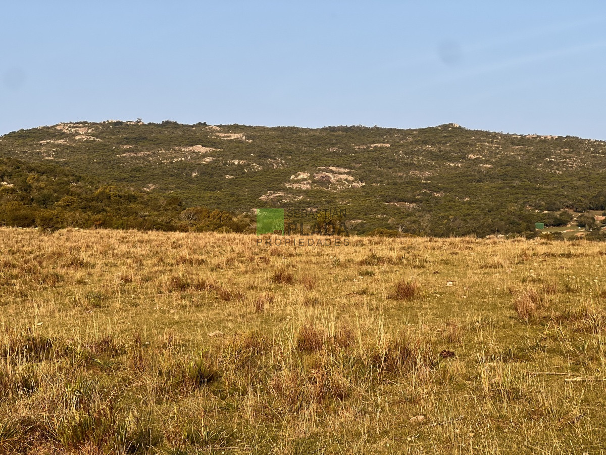 Chacra ID.740 - Chacra en Paso Dutra, a 20 km de San Carlos