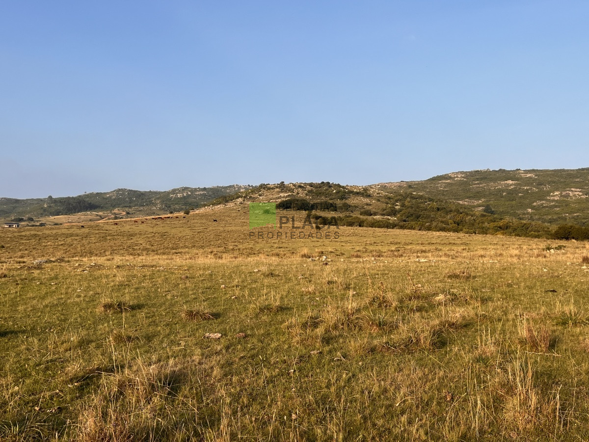 Chacra ID.740 - Chacra en Paso Dutra, a 20 km de San Carlos