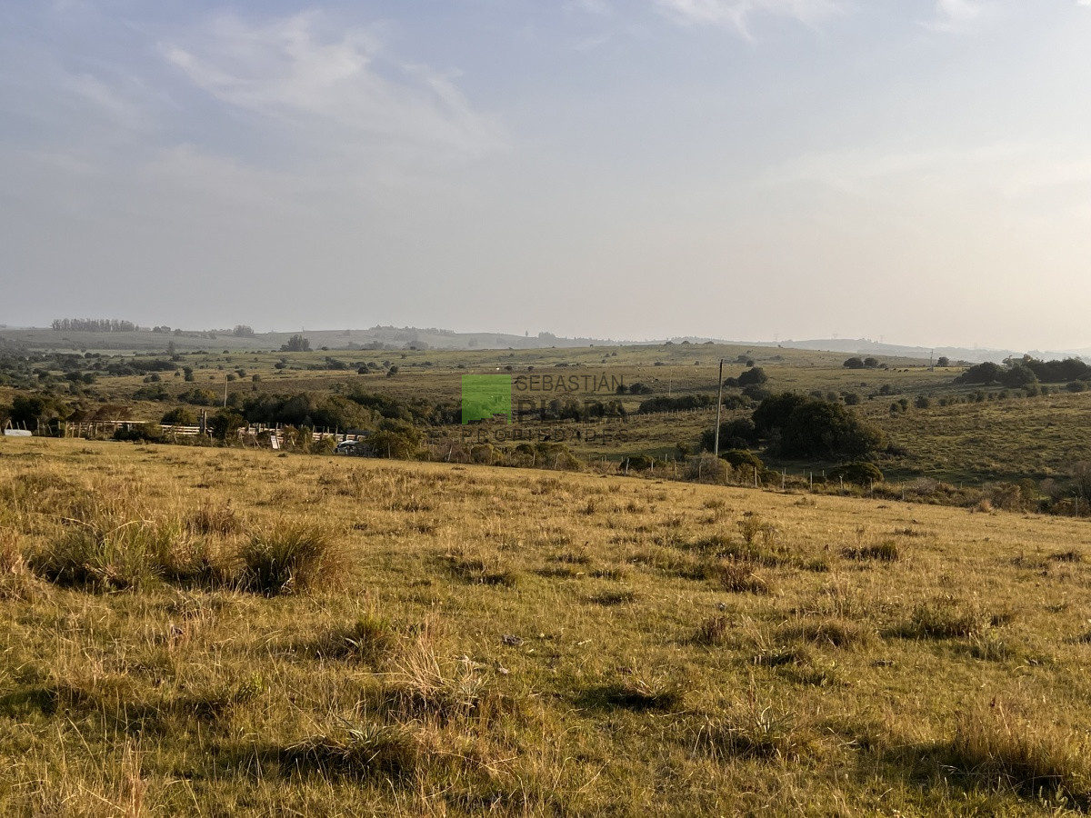 Chacra ID.740 - Chacra en Paso Dutra, a 20 km de San Carlos