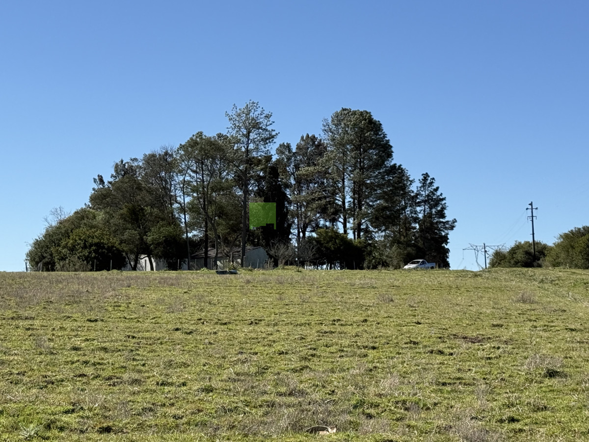 Chacra ID.1018 - Chacra de 14 Hás y media