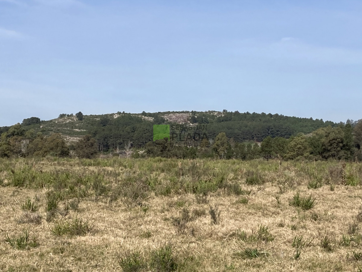 Chacra ID.774 - Chacra de 5 Hectáreas sobre Ruta 9