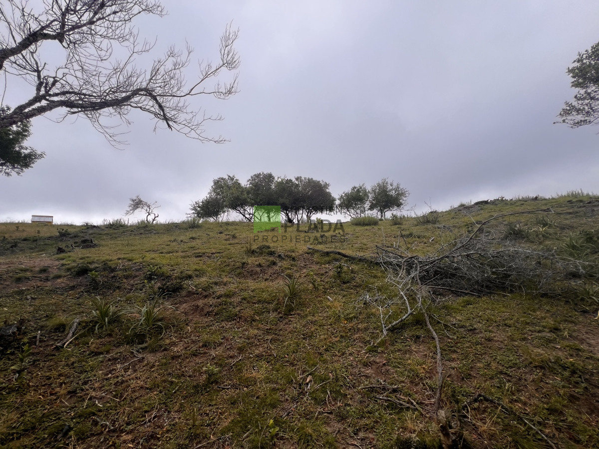 Chacra ID.822 - Venta de Chacra de Sierra 