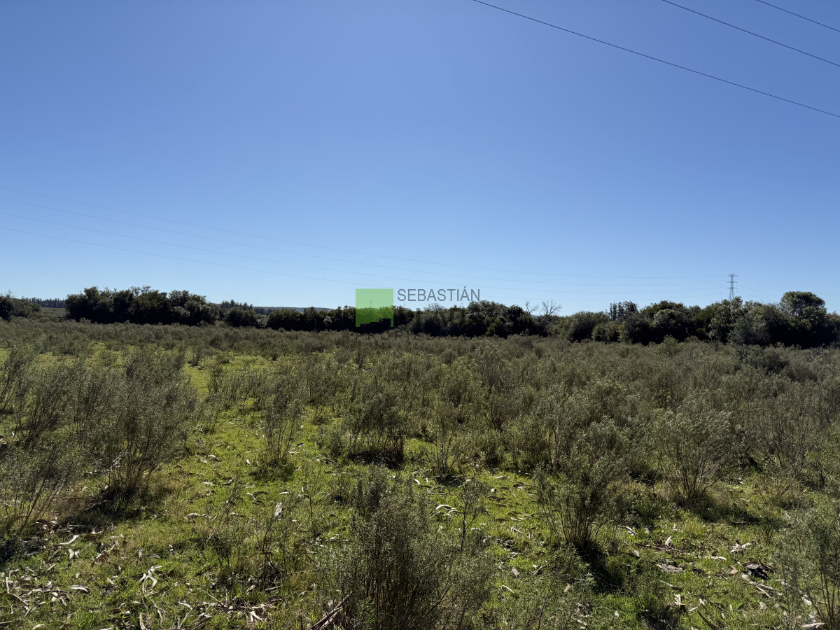 Chacra ID.1018 - Chacra de 14 Hás y media