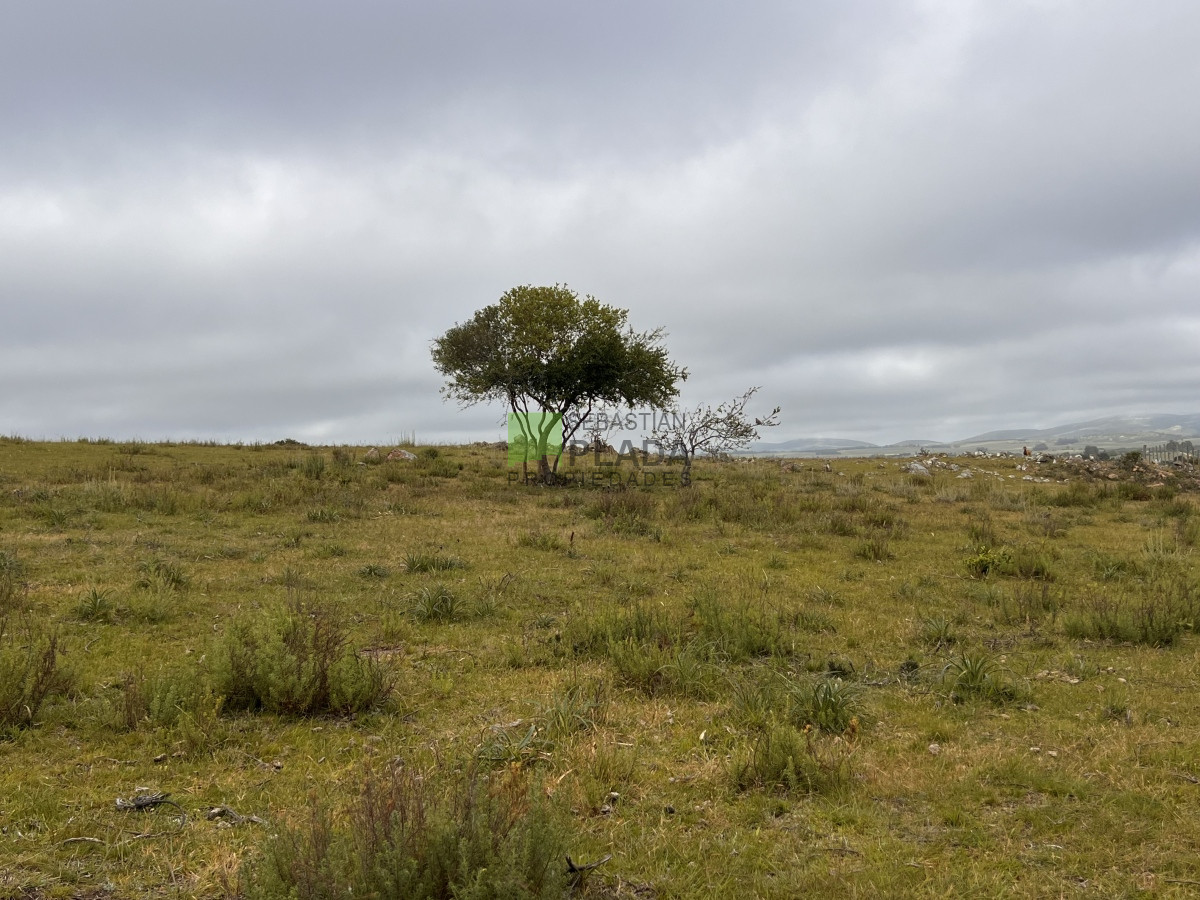 Chacra ID.822 - Venta de Chacra de Sierra 