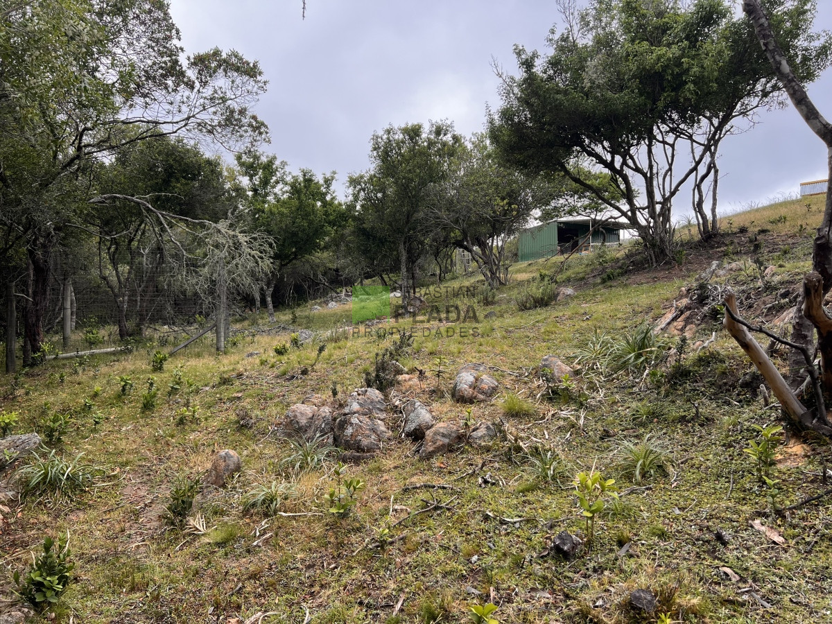 Chacra ID.822 - Venta de Chacra de Sierra 