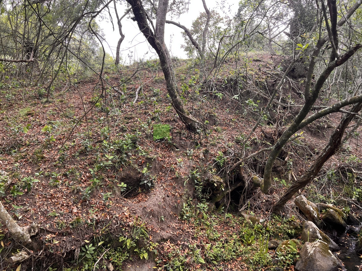 Chacra ID.822 - Venta de Chacra de Sierra 